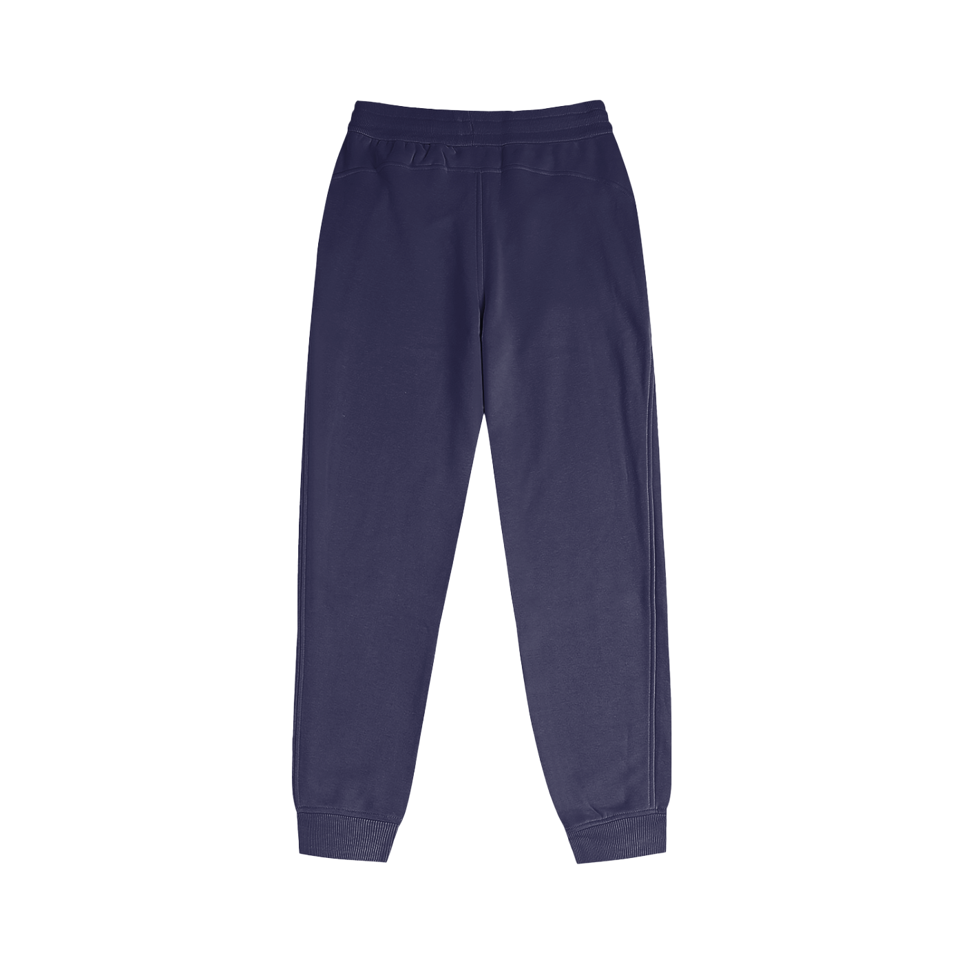 Striped Flamingo Womens Jogger Pants