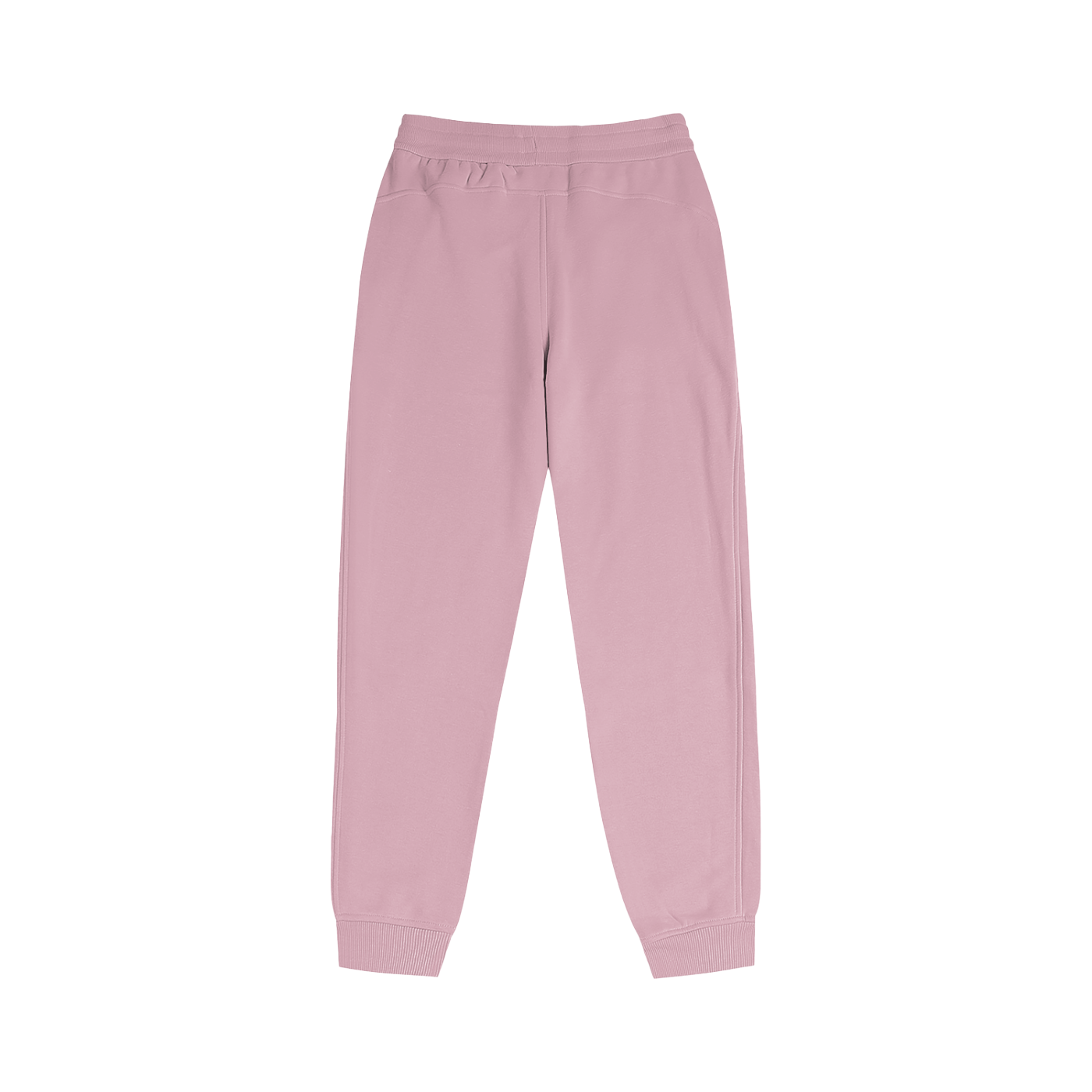 Striped Flamingo Womens Jogger Pants
